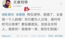 文章最新爆料,文章最新爆料背后的惊人真相